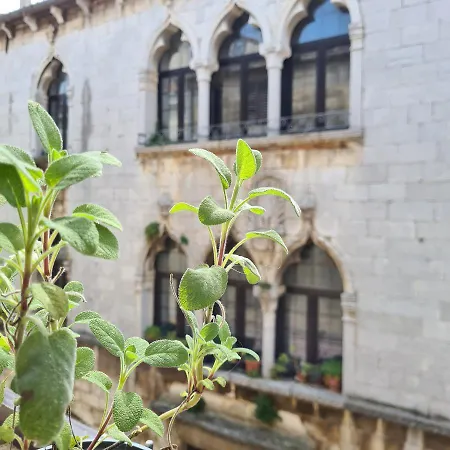 Old Town Decumanus 公寓 波雷奇